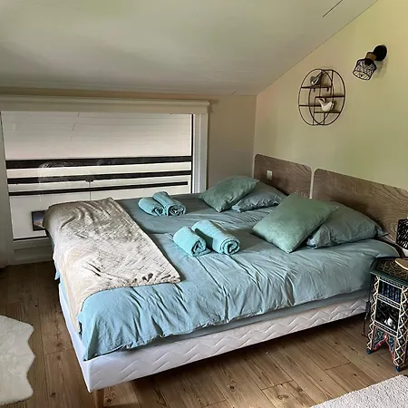 Duplex 3 Vue Mont-blanc Domancy